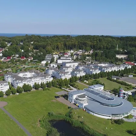 Vergissmeinnicht 2 *