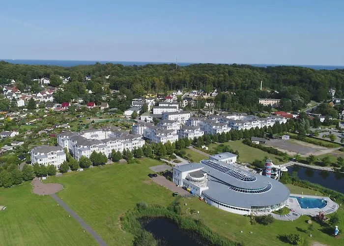 Vergissmeinnicht 2 *