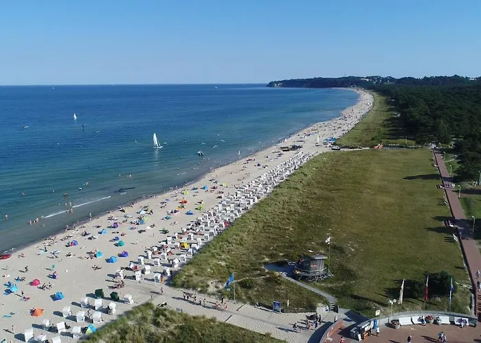 Vergissmeinnicht 2 Sellin (Rugen)